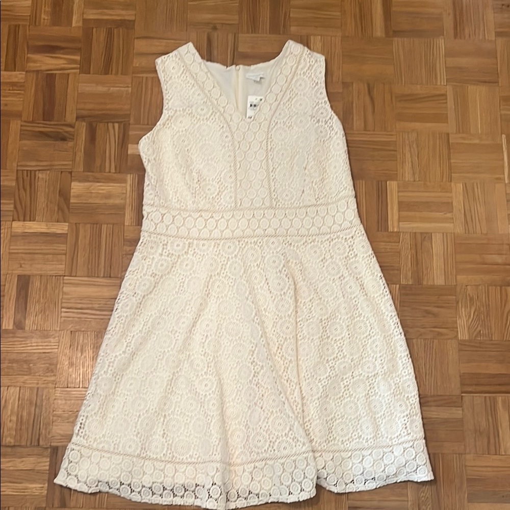 Charter Club Ivory Lace Dress